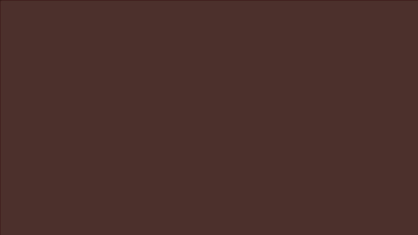 Right Side Can Holder Chocolate Color